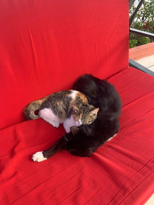 Sonstiges Hotel Delphin Imperial