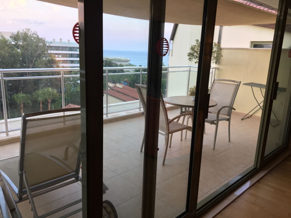 Zimmer Arum Barut Collection