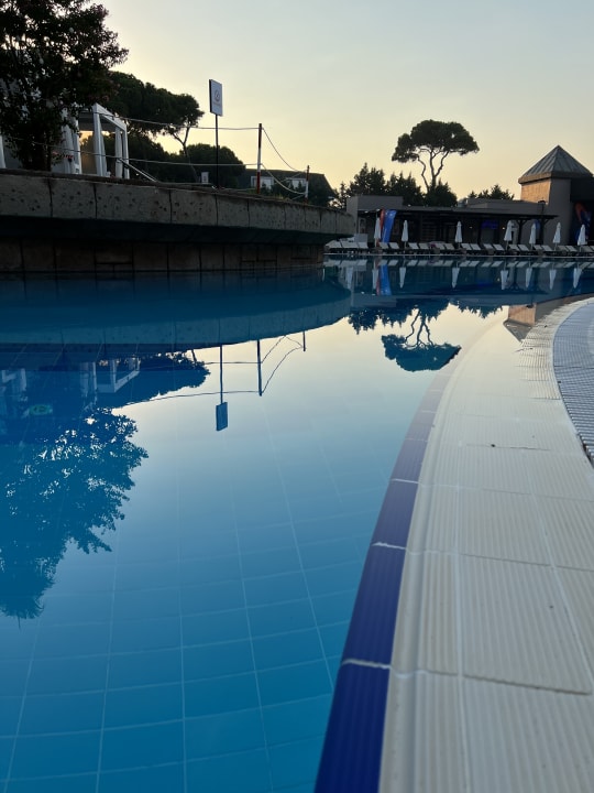 Pool Papillon Ayscha