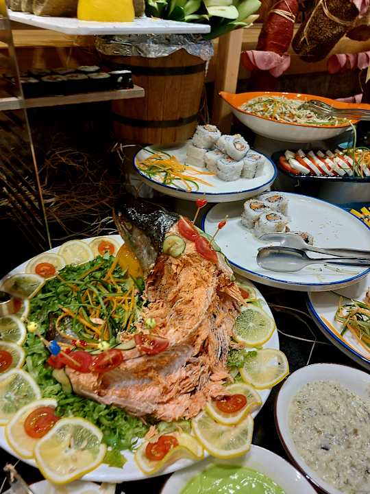 Gastro Seashell Vega