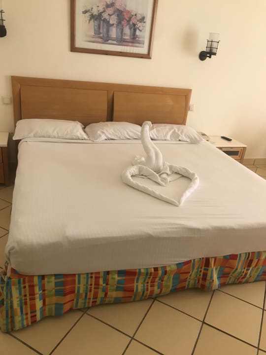 Zimmer Siva Sharm