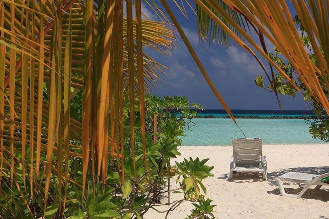 Ostseite Strand Summer Island Maldives