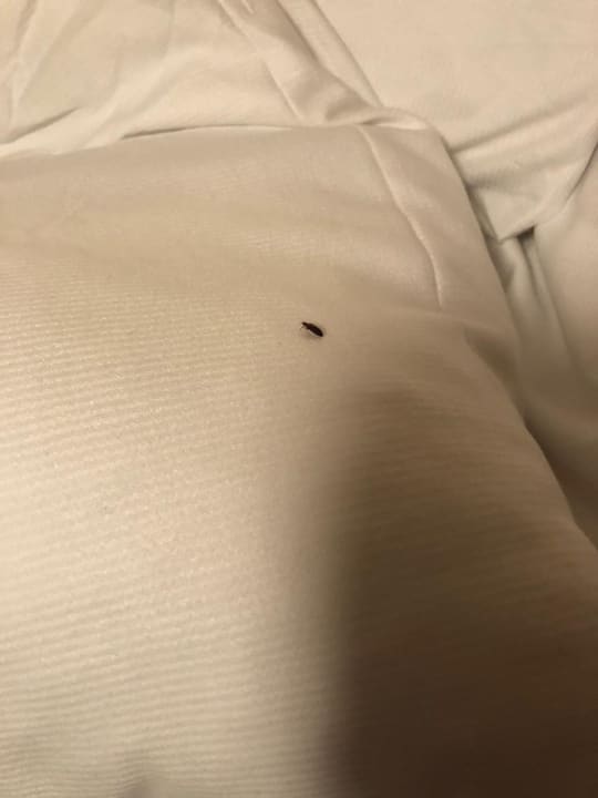 Zimmer Hotel Itzlinger Hof