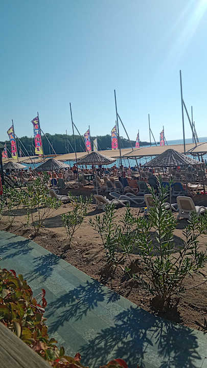 Strand Arycanda Kirman Premium