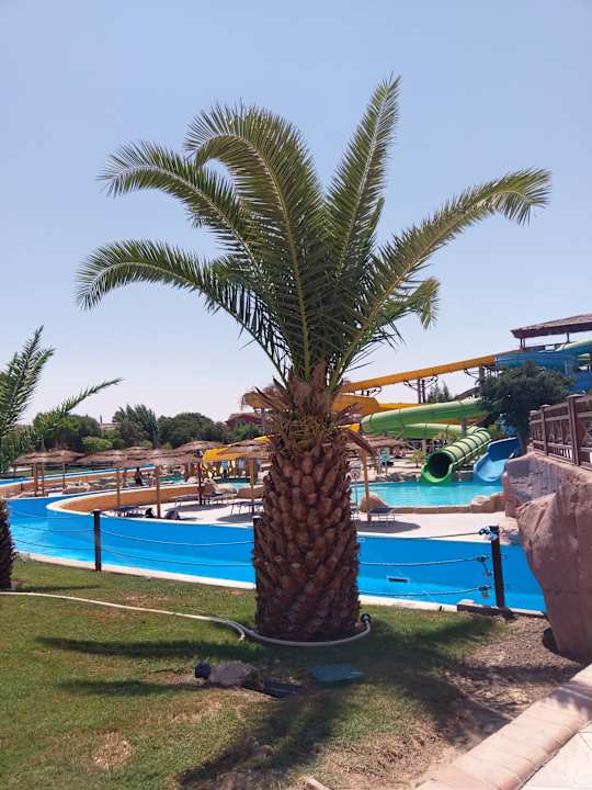 Pool Pickalbatros Jungle Aqua Park Resort - Neverland Hurghada