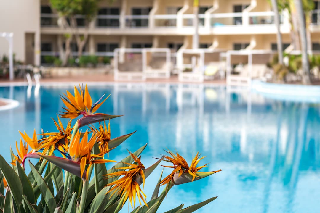 Pool Club Hotel Drago Park