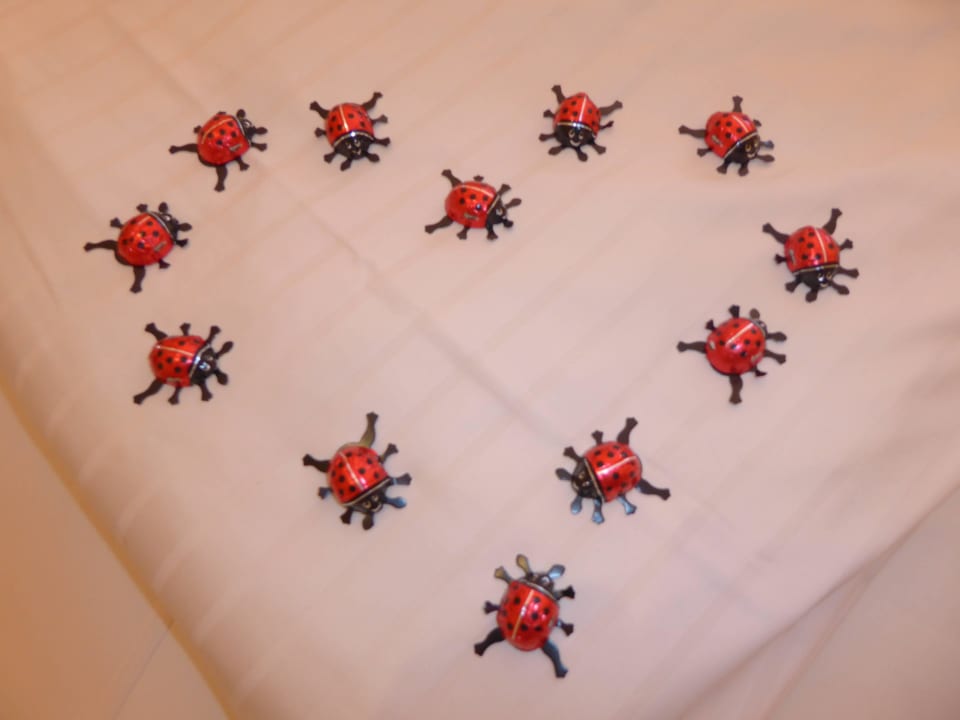 Deko zum Hochzeitstag BergSpa & Hotel Zamangspitze