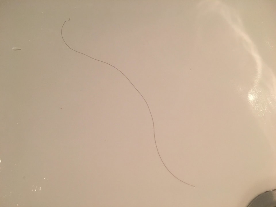 Haare bei Einzug im Waschbecken Bonita Beach