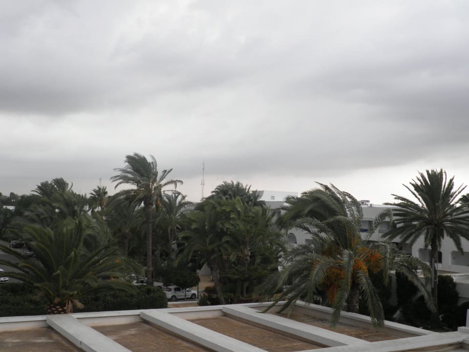 Romantischer Ausblick aus 233 El Mouradi Club Kantaoui