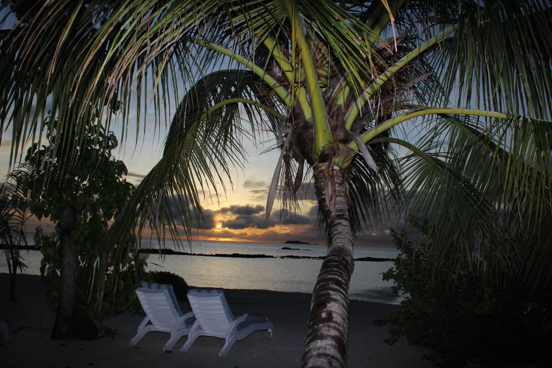 Vom Zimmer aus gesehen Summer Island Maldives