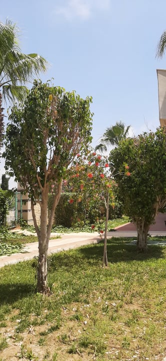 Gartenanlage Sunis Evren Beach Resort Hotel & Spa