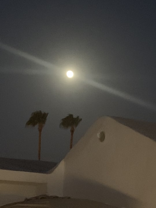 Ausblick Club Maspalomas Suites & SPA