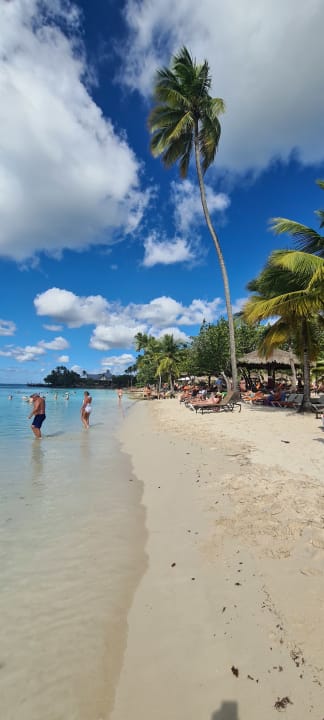 Strand Dreams La Romana Resort & Spa