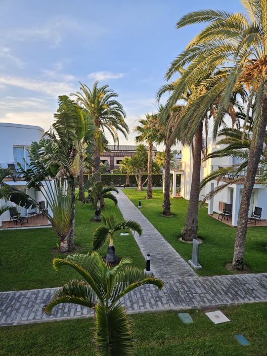 Gartenanlage Hotel Riu Palace Meloneras