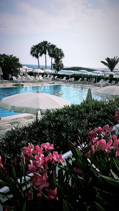 Pool Hotel Nissi Beach Resort