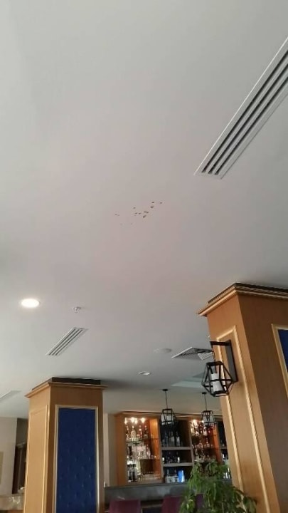 Flecken an der Decke ( Lecker ) Aquasis De Luxe Resort & Spa