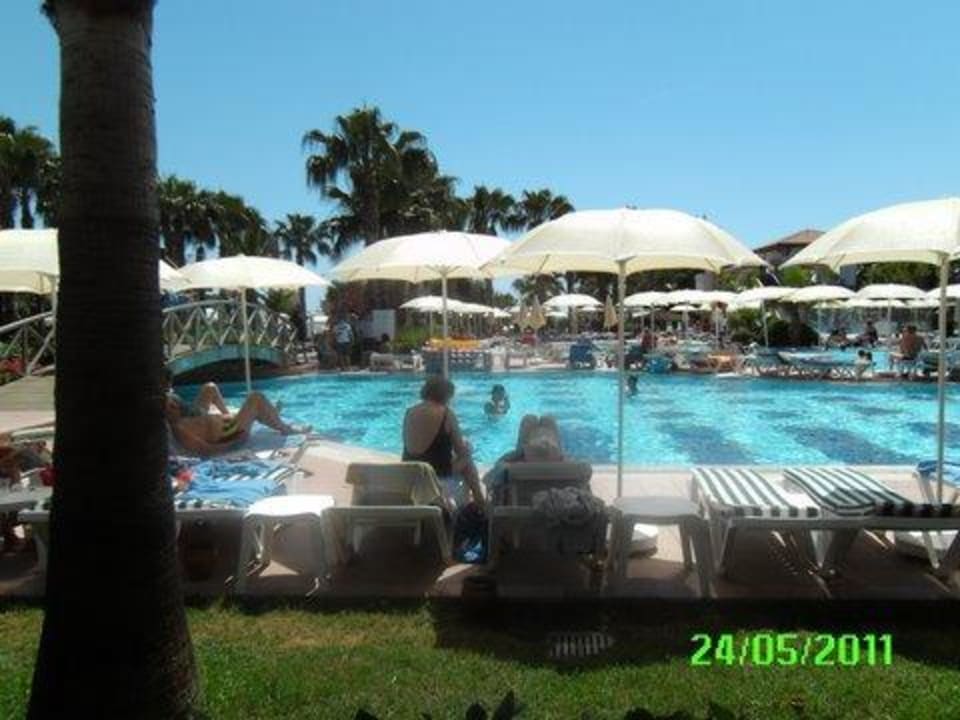 Der Pool Trendy Palm Beach (Adults Only, 16+)