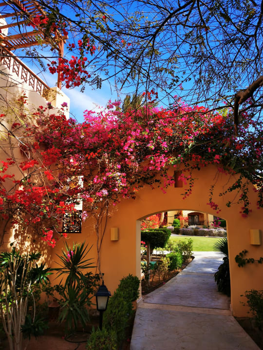 Sonstiges Steigenberger Coraya Beach - Adults only