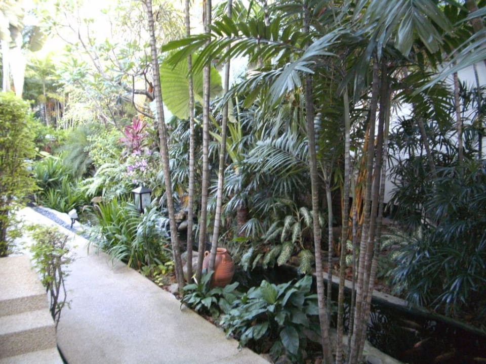 Im Garten Banana Fan Sea Resort