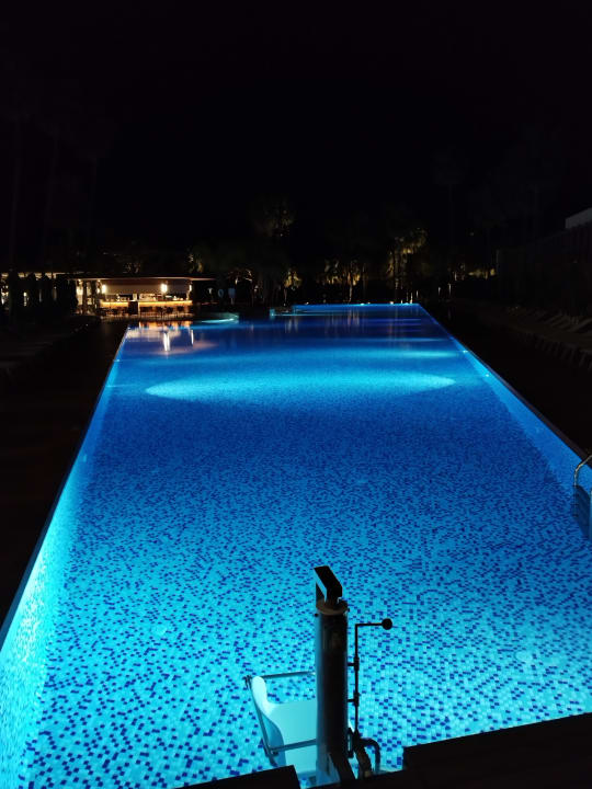 Pool Acanthus Cennet Barut Collection