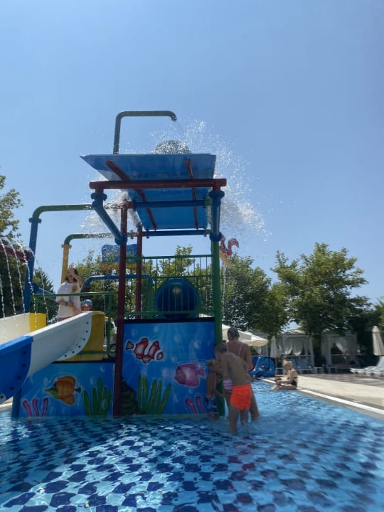 Pool Hotel Delphin Imperial