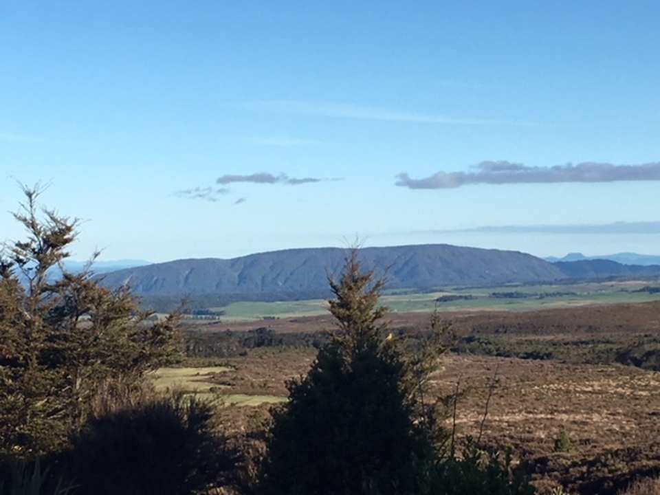 Zimmerausblick auf den Nationalpark Skotel Alpine Resort
