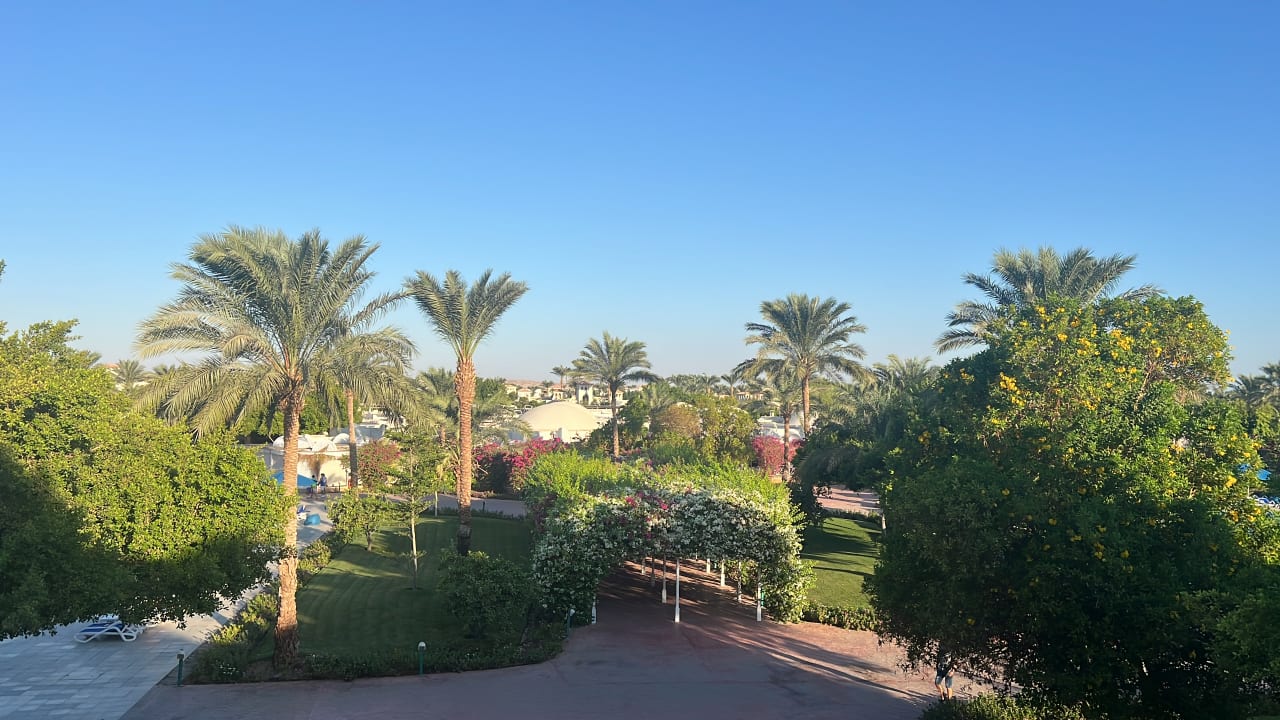 Gartenanlage Desert Rose