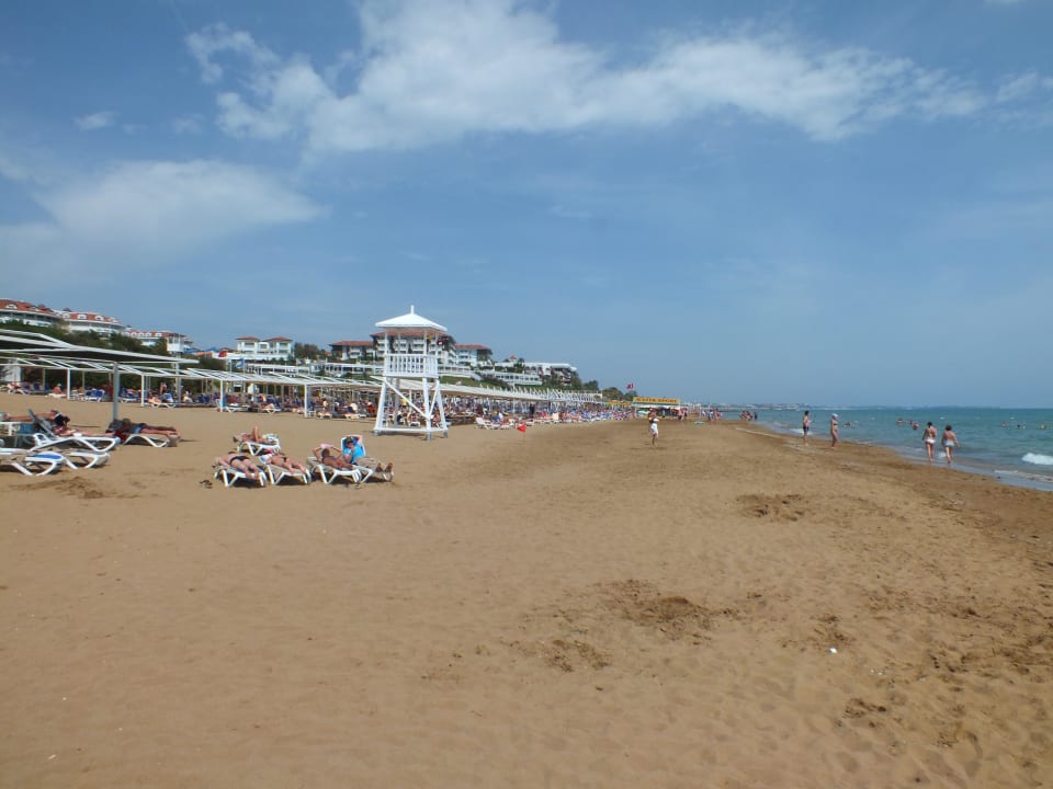 Platz für Alle Alba Resort Hotel