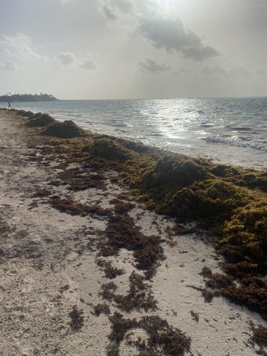 Strand Akumal Bay Beach & Wellness Resort