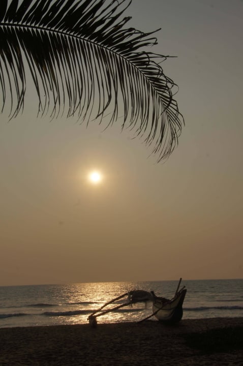 Sonnenuntergang vom Hotelgarten aus Turyaa Kalutara