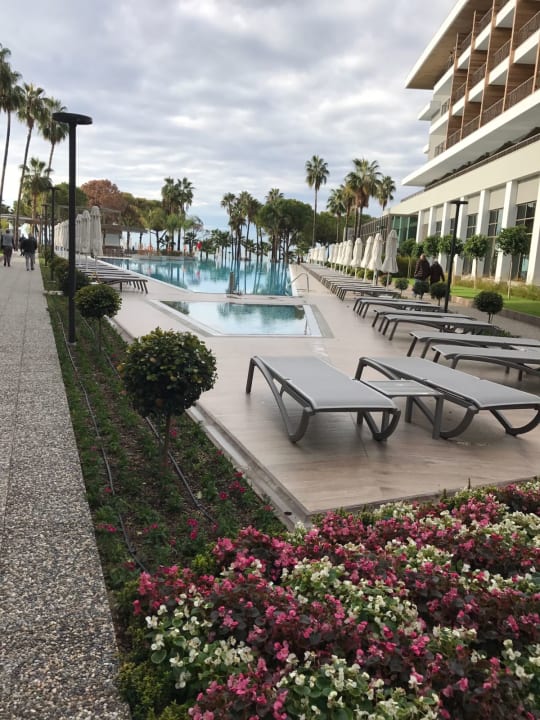Pool Acanthus Cennet Barut Collection