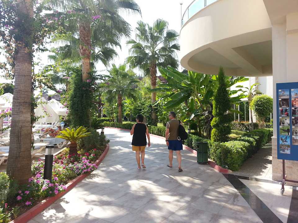 Weg vom Pool Richtung Strand Saphir Resort & Spa