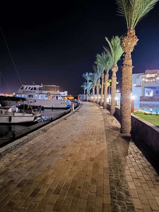 Gartenanlage Marina Lodge At Port Ghalib