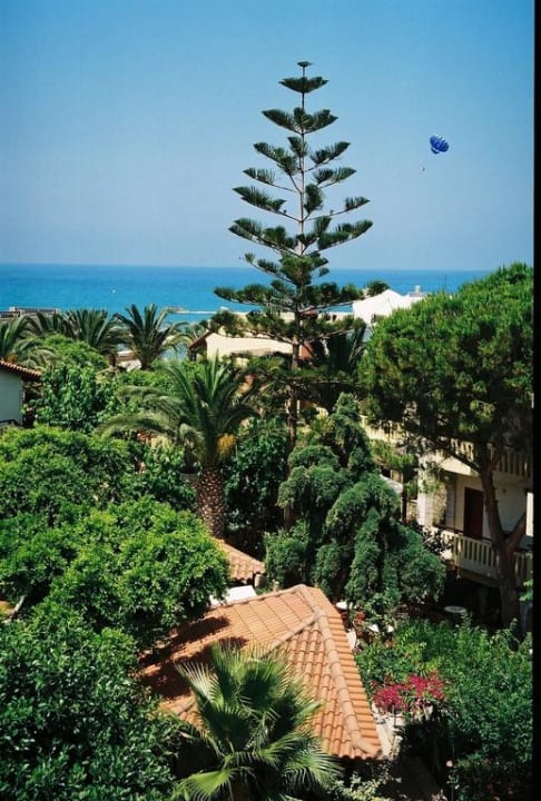 Blick aus dem Zimmer/Balkon Cactus Beach