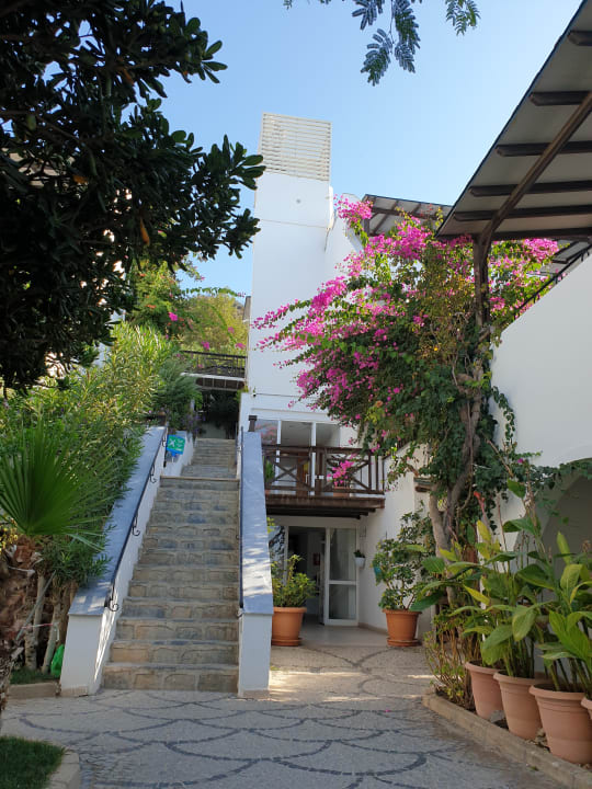 Außenansicht Forever Club