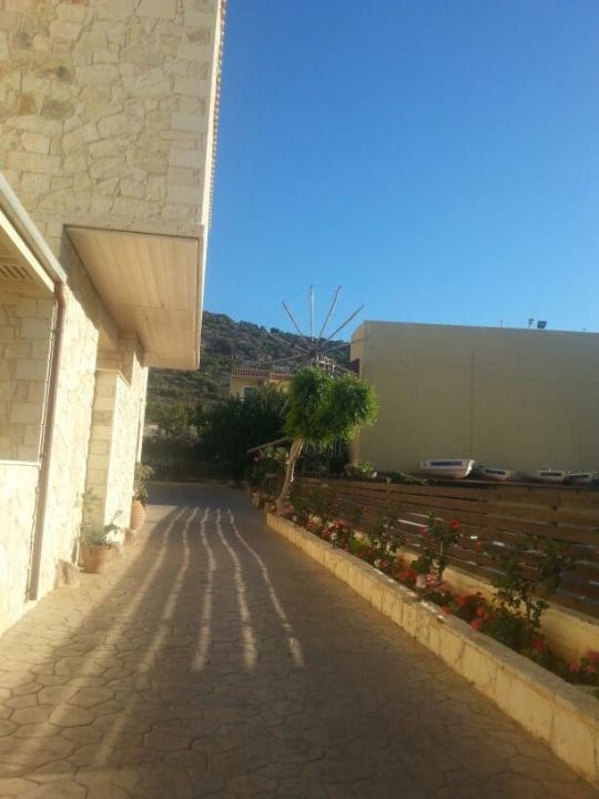 Abendstunden Cactus Royal