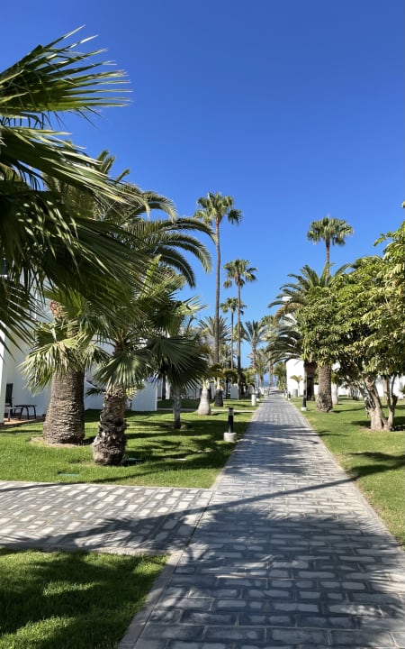 Garten Hotel Riu Palace Meloneras