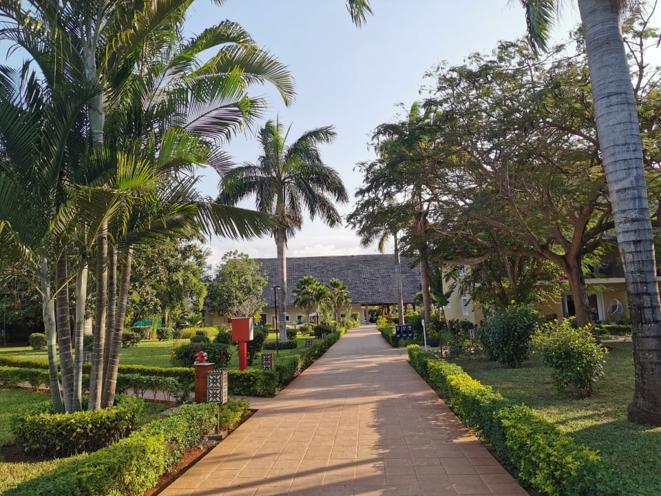 Gartenanlage TUI Blue Bahari Zanzibar