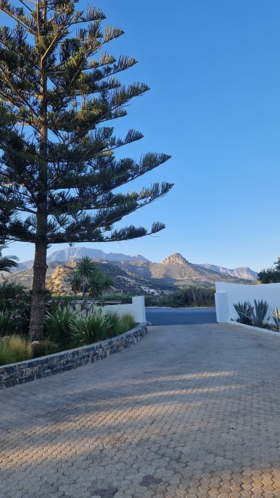 Gartenanlage Kakkos Beach Hotel