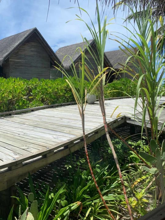 Sport & Freizeit OZEN LIFE MAADHOO