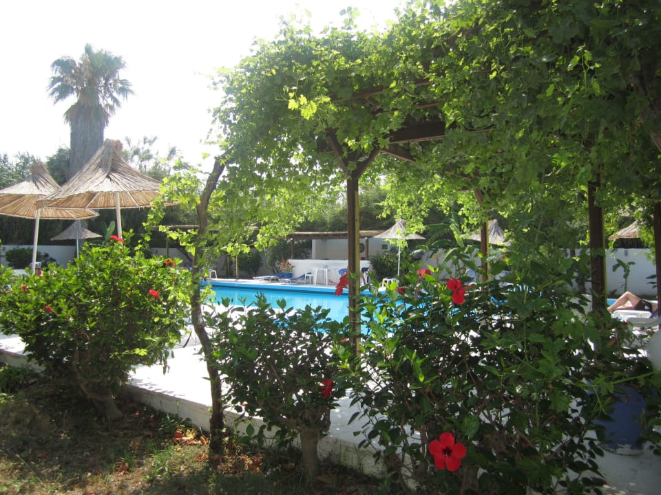 Pool Costa Angela Seaside Resort