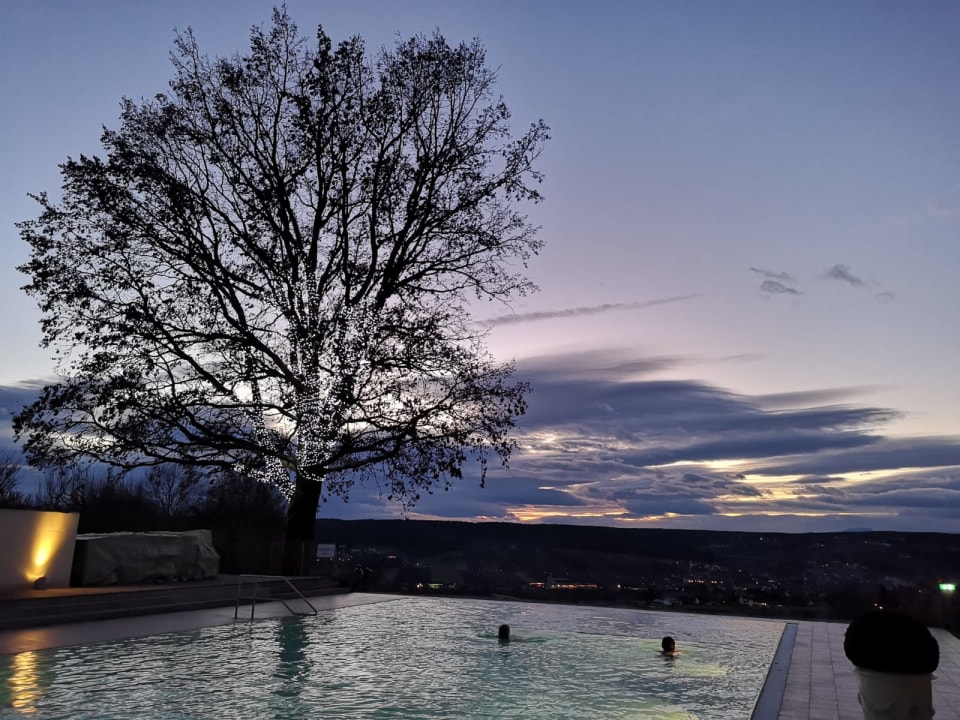 Pool Hotel & Spa Der Steirerhof Bad Waltersdorf
