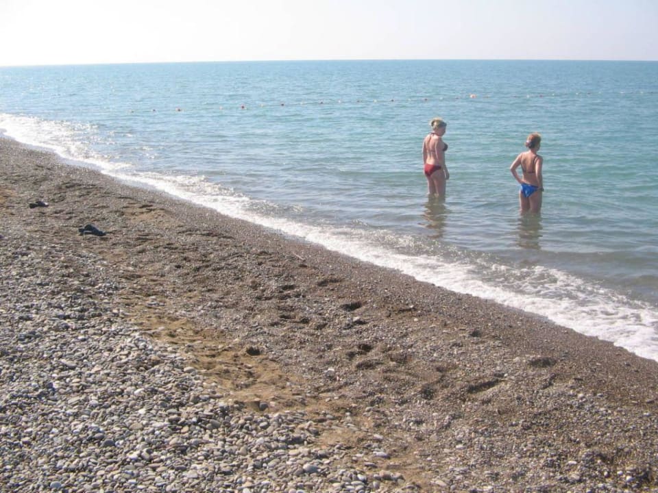 Wunderschöner Sandstrand im BB Belek Beach Resort Hotel