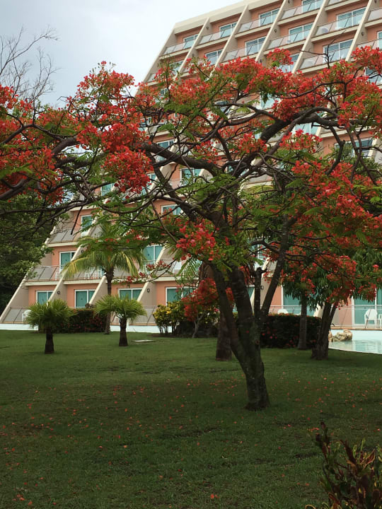 Außenansicht Blau varadero - Adults only