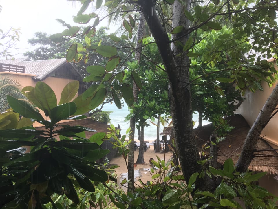 Monsun 2016/2017 Buri Rasa Village Phangan