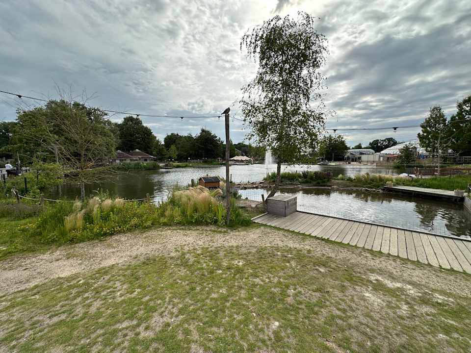 Gartenanlage Center Parcs De Huttenheugte