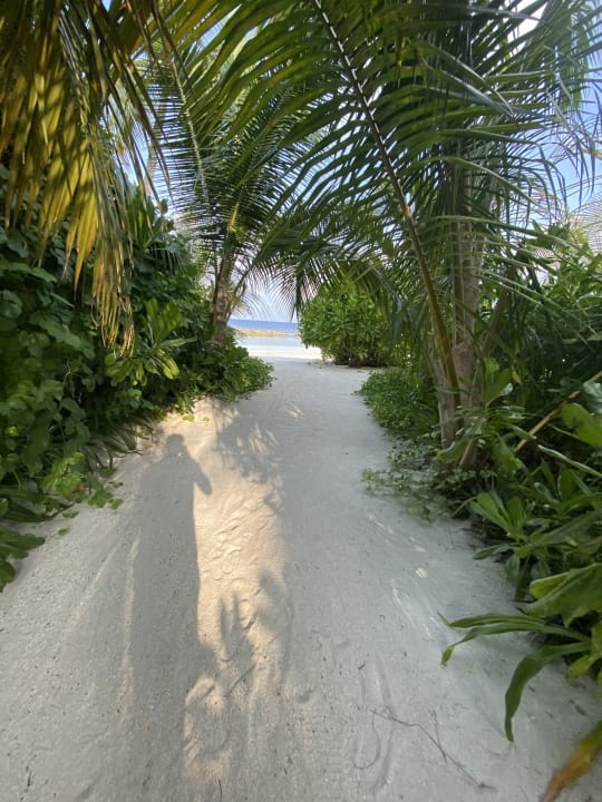 Strand Outrigger Maldives Maafushivaru Resort