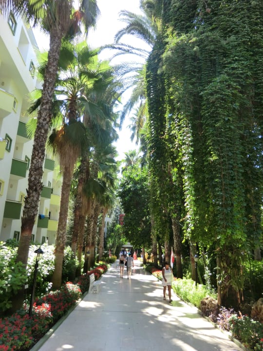 Gartenanlage mit vielen Pflanzenarten Botanik Hotel & Resort