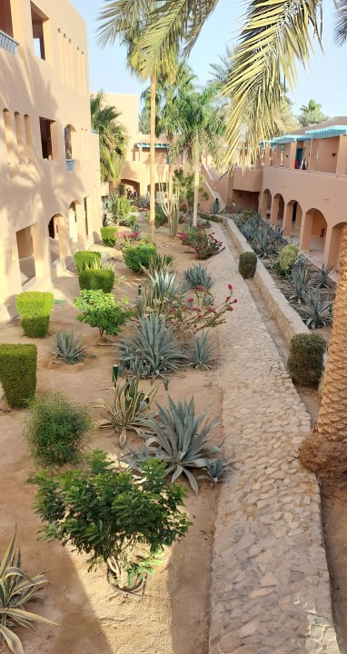 Sonstiges Club Paradisio El Gouna, Red Sea