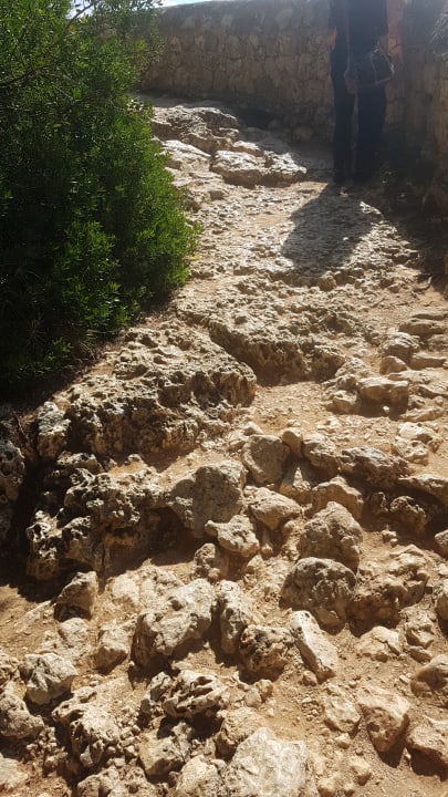 Strand blau punta reina